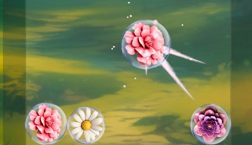 Rare Flower Collection