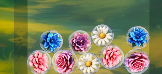 Seasonal Garden Events